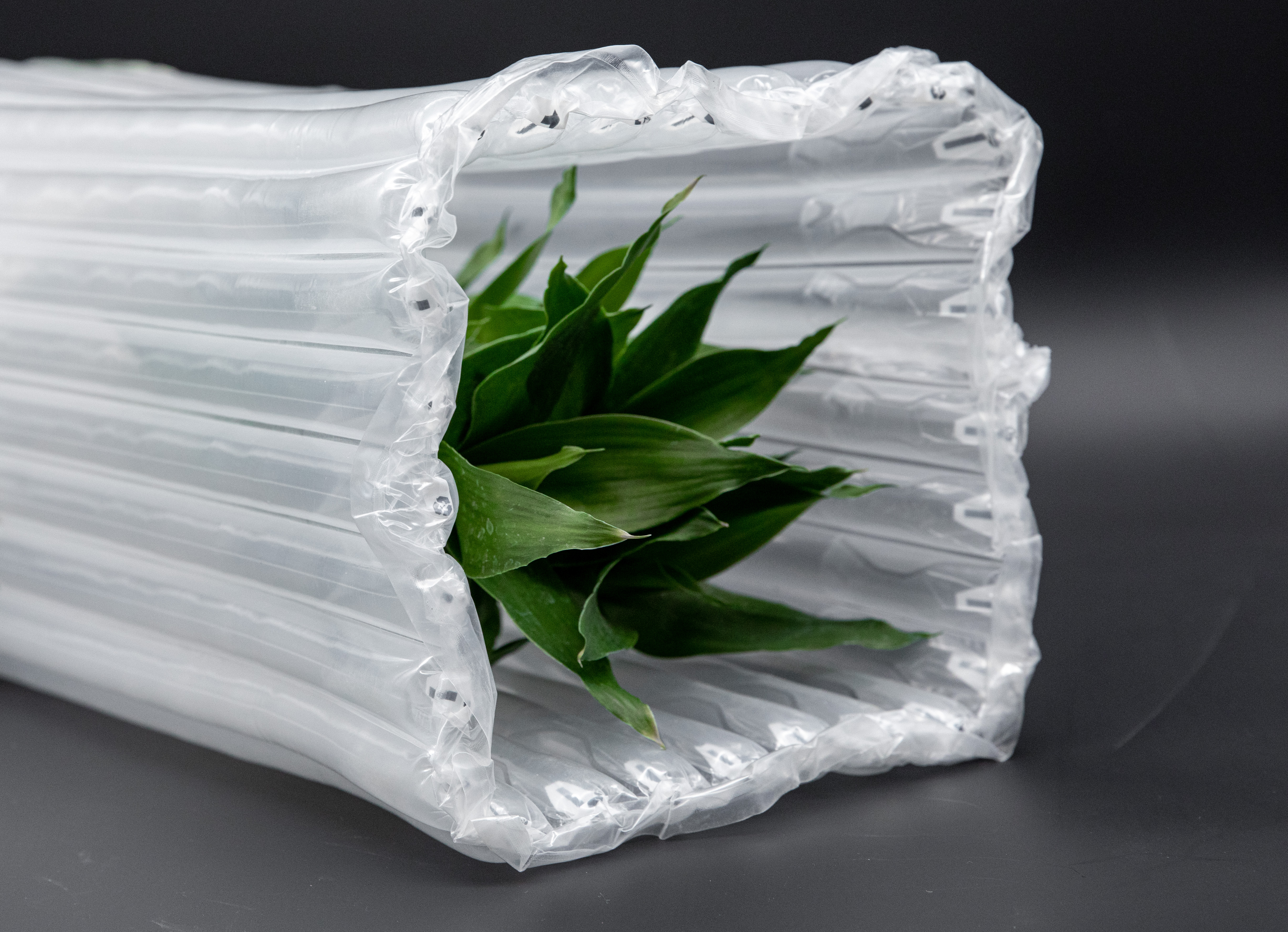 Advanced Protective Packaging Air Column Bag für Waren